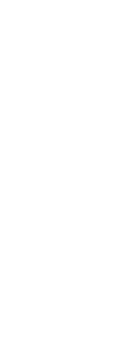 T・S BOARD DIRECTOR